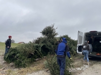 Christbaumsammelaktion 2025